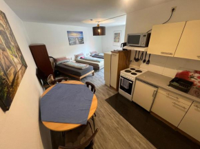 MühlwegAppartment 2